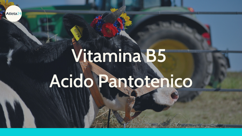 Vitamina B5 Acido Pantotenico