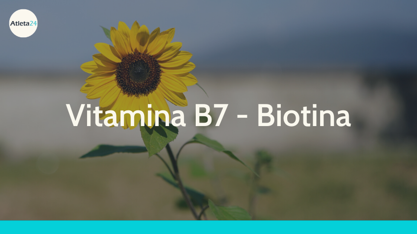 Vitamina B7 Biotina